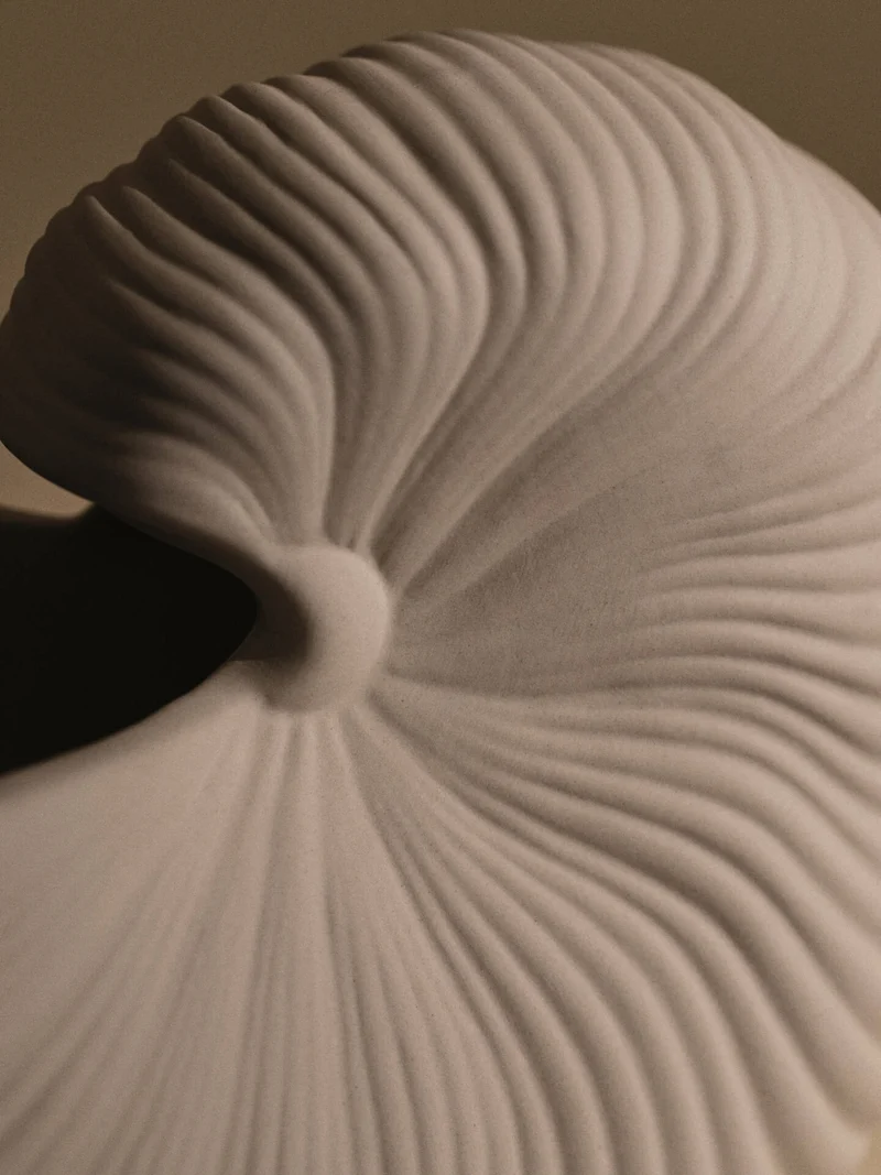 Shell Pot - Medium - Off-White