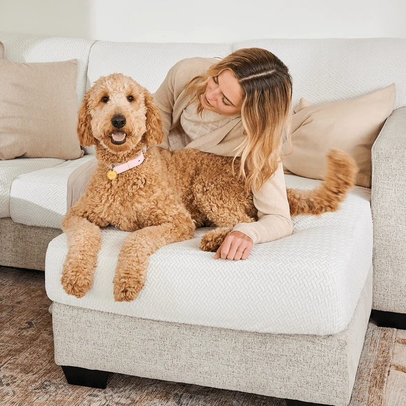 Magic Sofa Covers - Classic | Last Chance