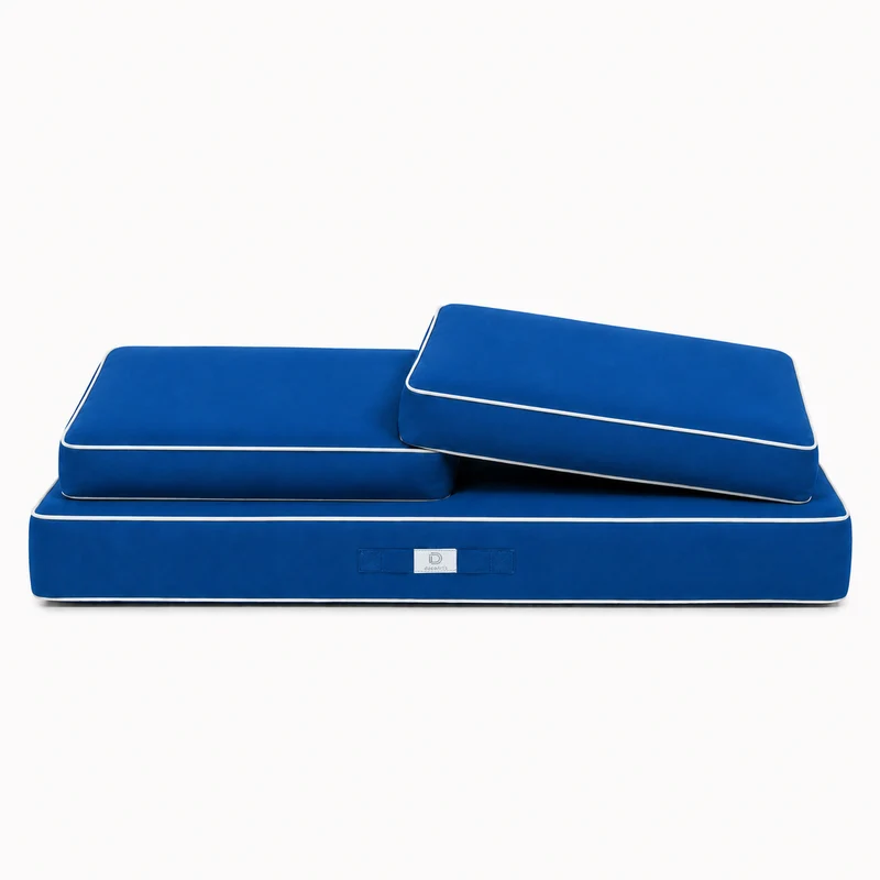 Ensemble Coussins Premium 100x50 Bleu Royal - 1 Assise + 2 Dossiers (Épais 12cm & Passepoil)