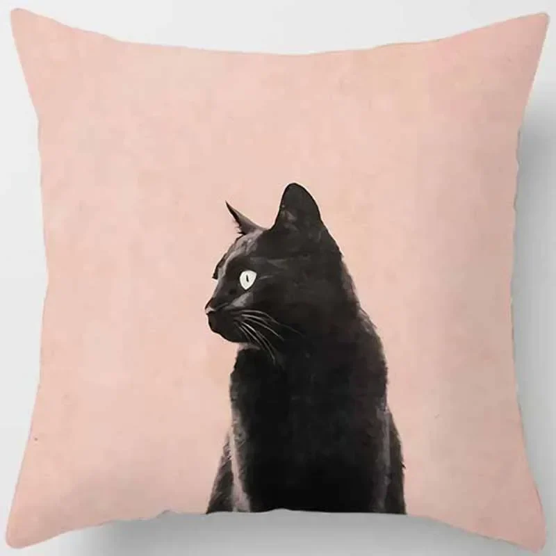 Housse coussin animaux chat drôle