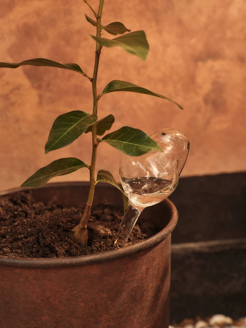Mercury Water Globes - Small - Set of 2 - Clear