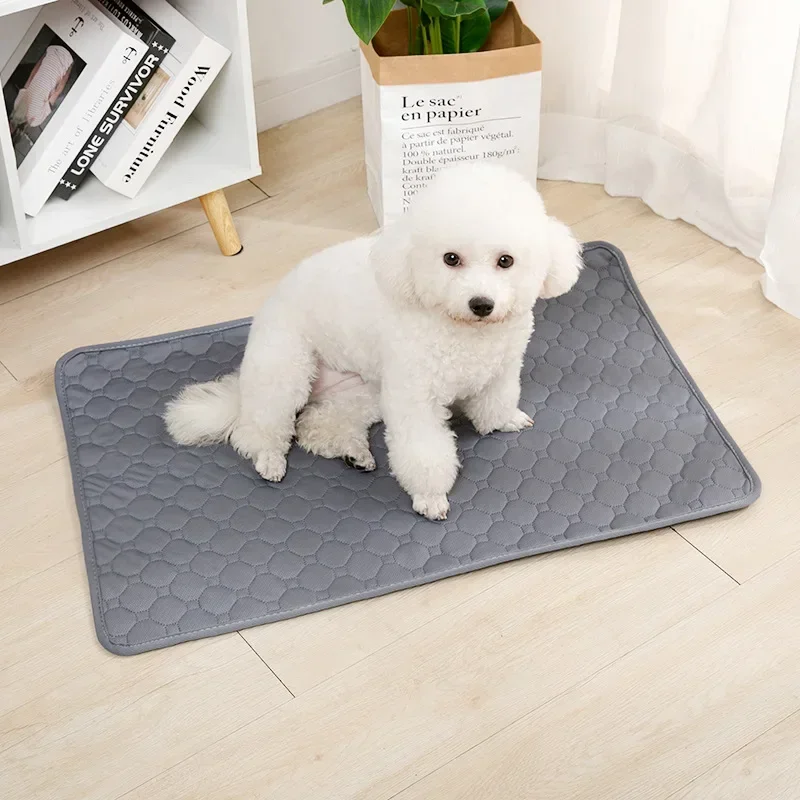Tapis de protection imperméable, absorbant, antidérapant et anti griffes pour chiens et chats