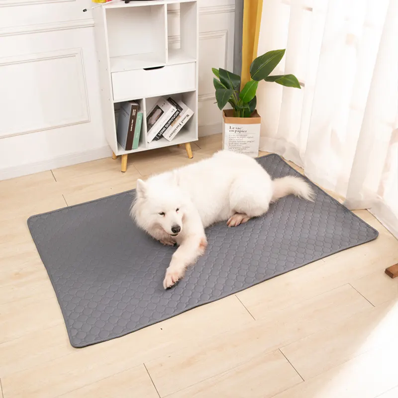 Tapis de protection imperméable, absorbant, antidérapant et anti griffes pour chiens et chats