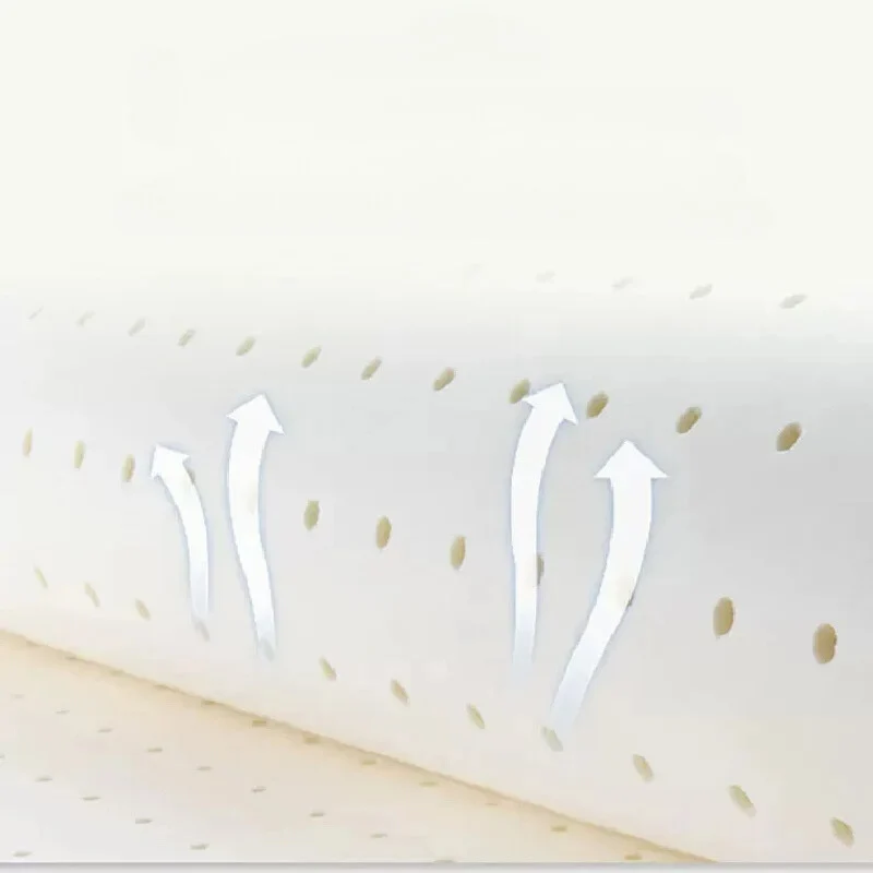 Coussin pour le dos lit en latex rafraîchissant
