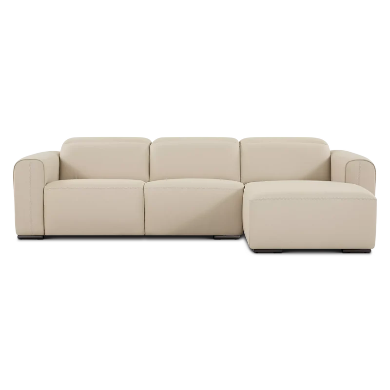 Brume - Leather Sectional Sofa