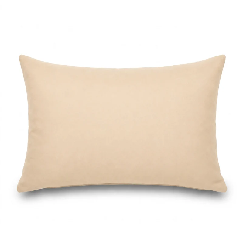 Lot de 2 Coussins d'Appoint 60x35 Beige - Déco Jardin & Déhoussable