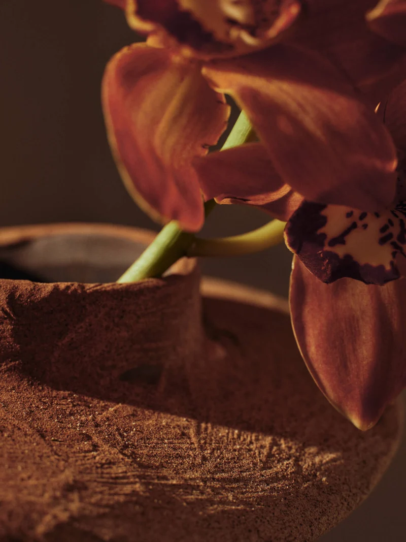 Evio Vase - Small - Burnt Umber