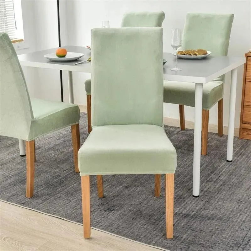 Housse de Chaise en Velours Extensible