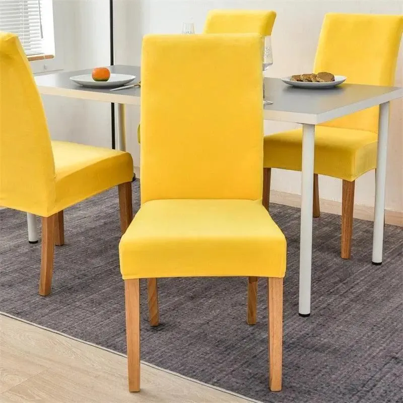 Housse de Chaise en Velours Extensible