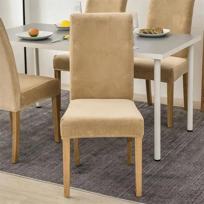Housse de Chaise en Velours Extensible