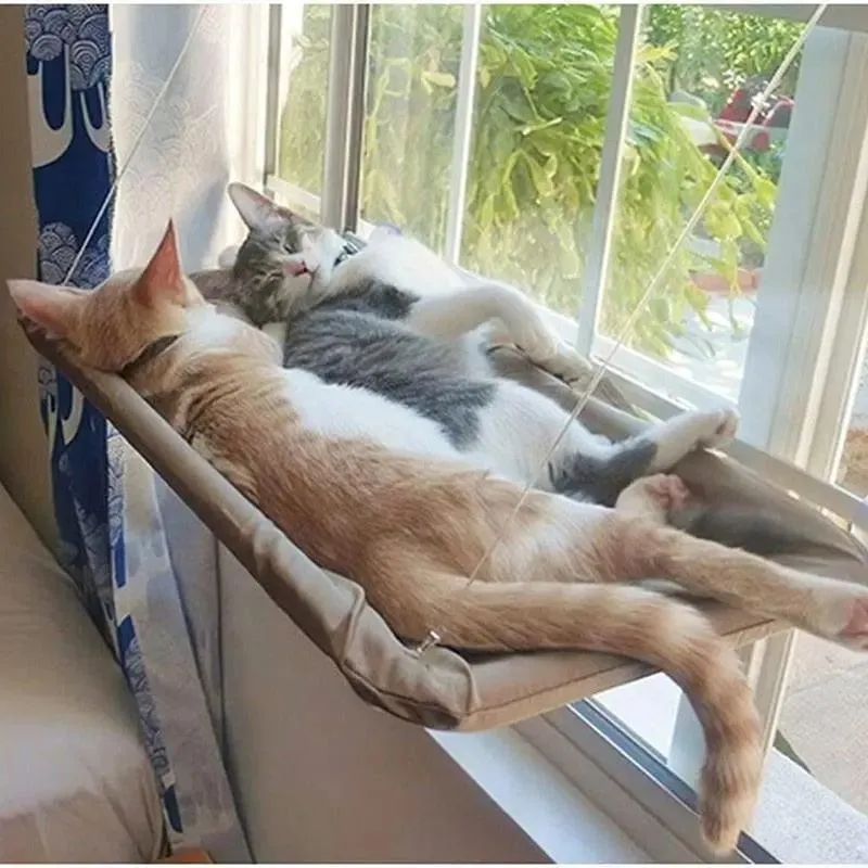 Hamac Fenêtre Pour Chat