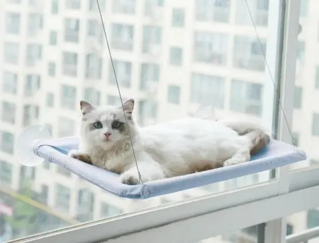 Hamac Fenêtre Pour Chat
