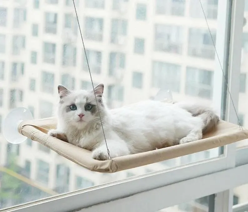 Hamac Fenêtre Pour Chat