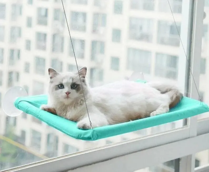 Hamac Fenêtre Pour Chat
