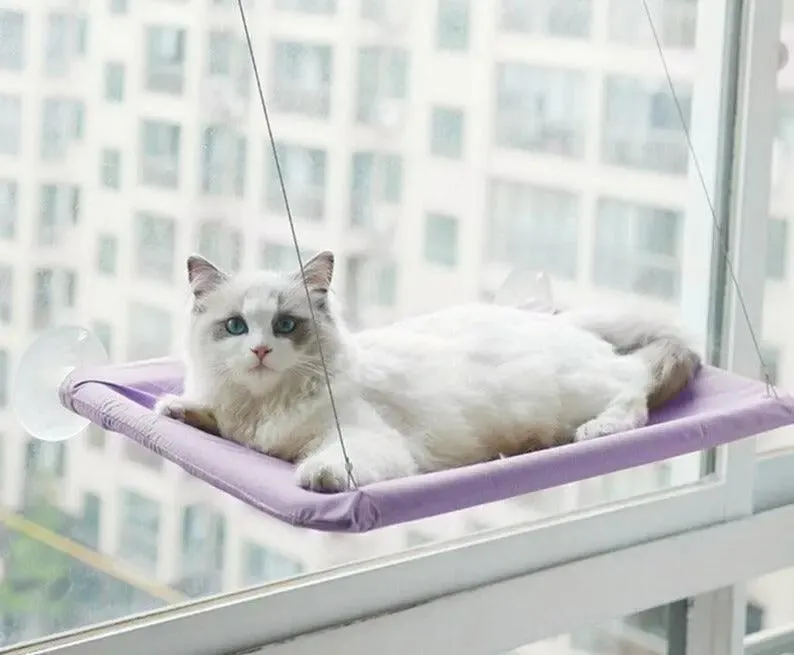 Hamac Fenêtre Pour Chat