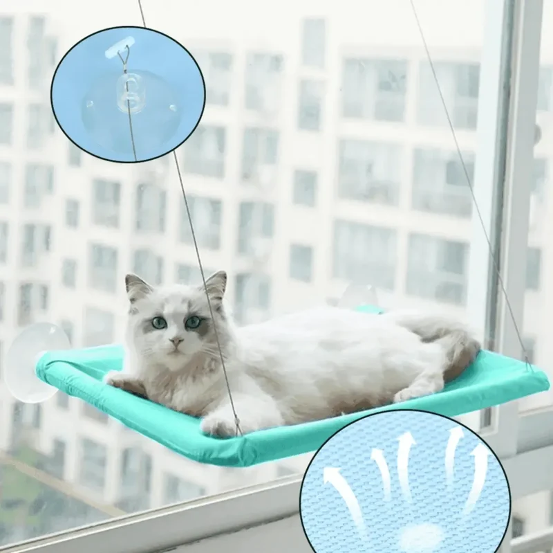 Hamac Fenêtre Pour Chat