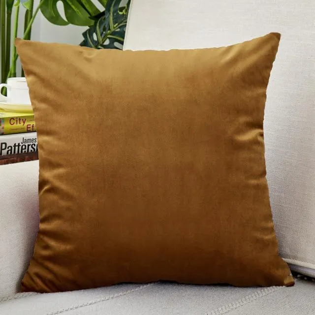 Housse de Coussin Velours 30x50cm Champagne