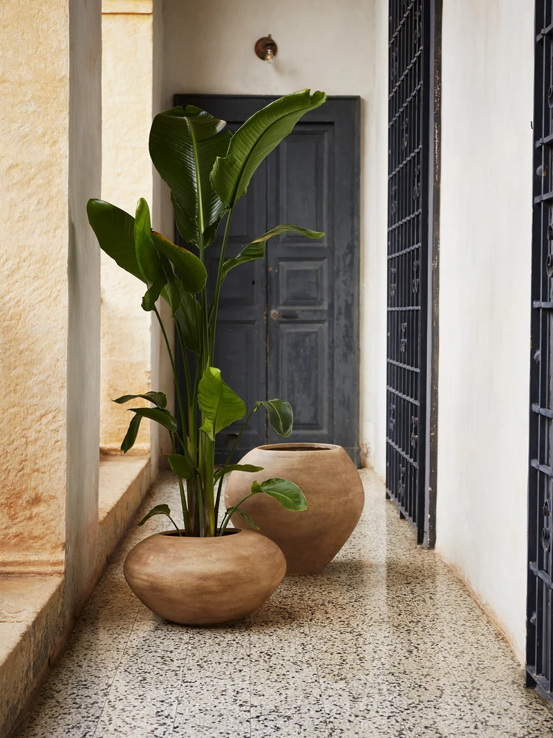 Dodu Pot - Low - Brown