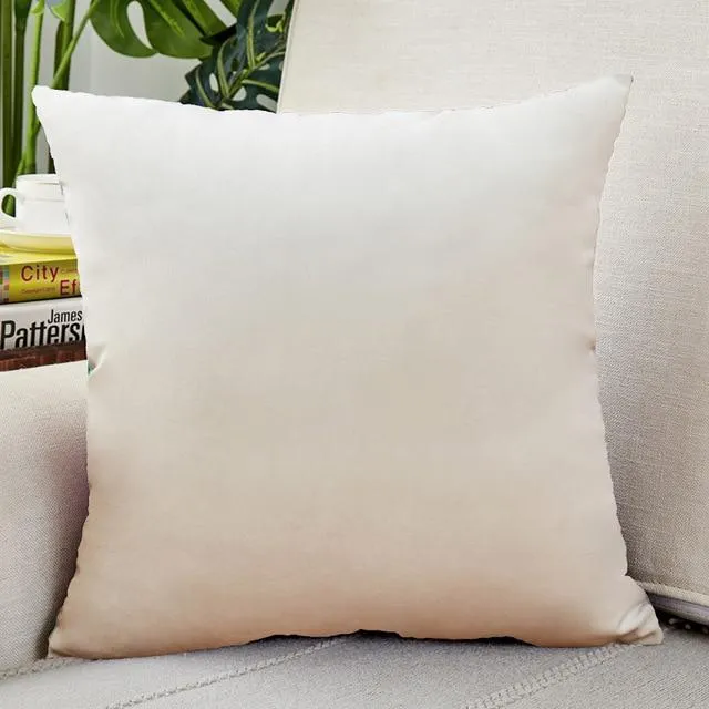 Housse de Coussin Velours 40x40cm Blanc