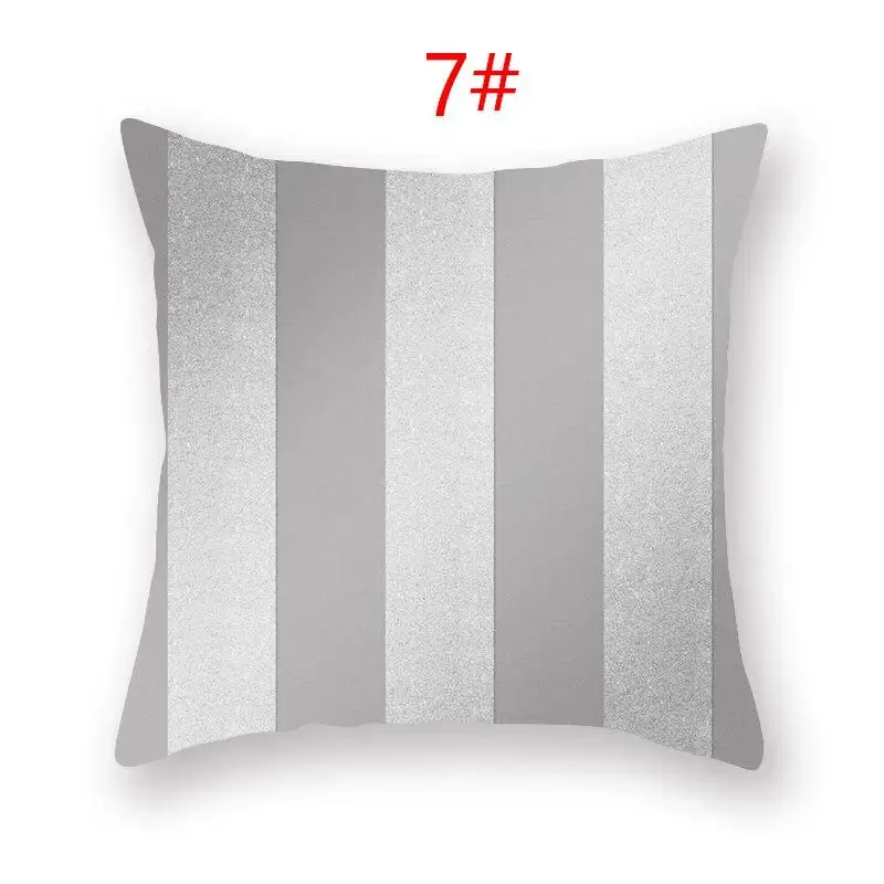 Coussin Décoratif Polyester ASCYRE
