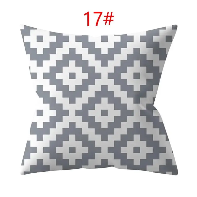 Coussin Décoratif Polyester ASCYRE