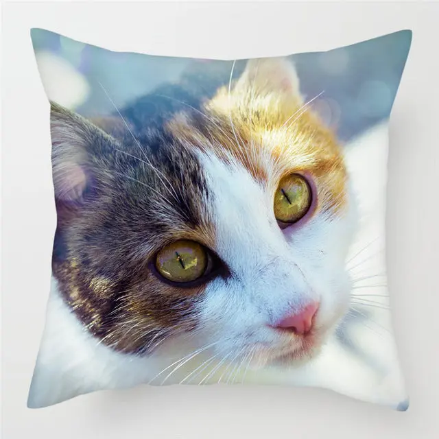 Housse de Coussin Décorative FELINO