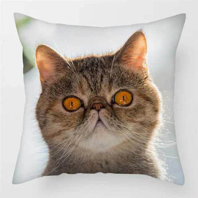 Housse de Coussin Décorative FELINO