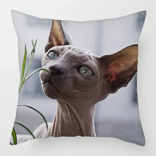 Housse de Coussin Décorative FELINO
