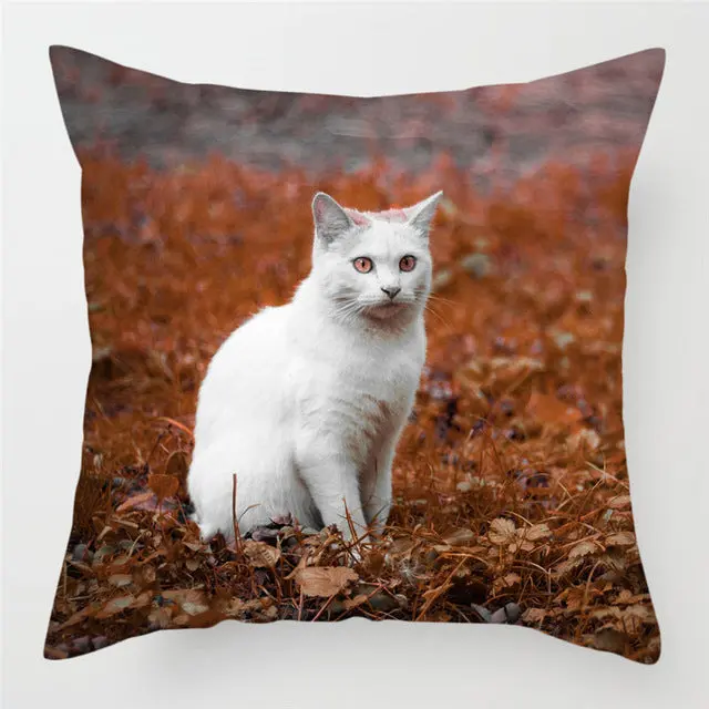 Housse de Coussin Décorative FELINO