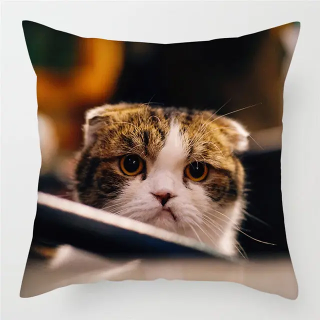 Housse de Coussin Décorative FELINO