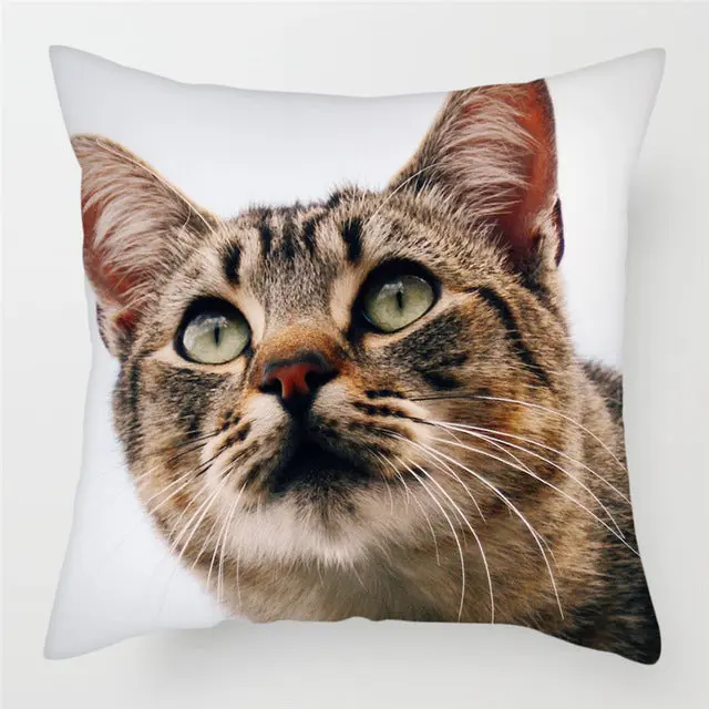 Housse de Coussin Décorative FELINO