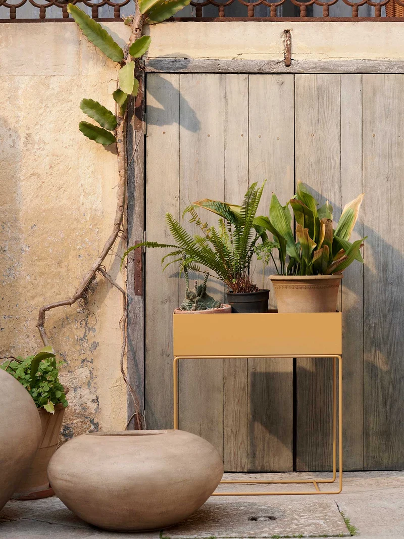 Plant Box - Straw
