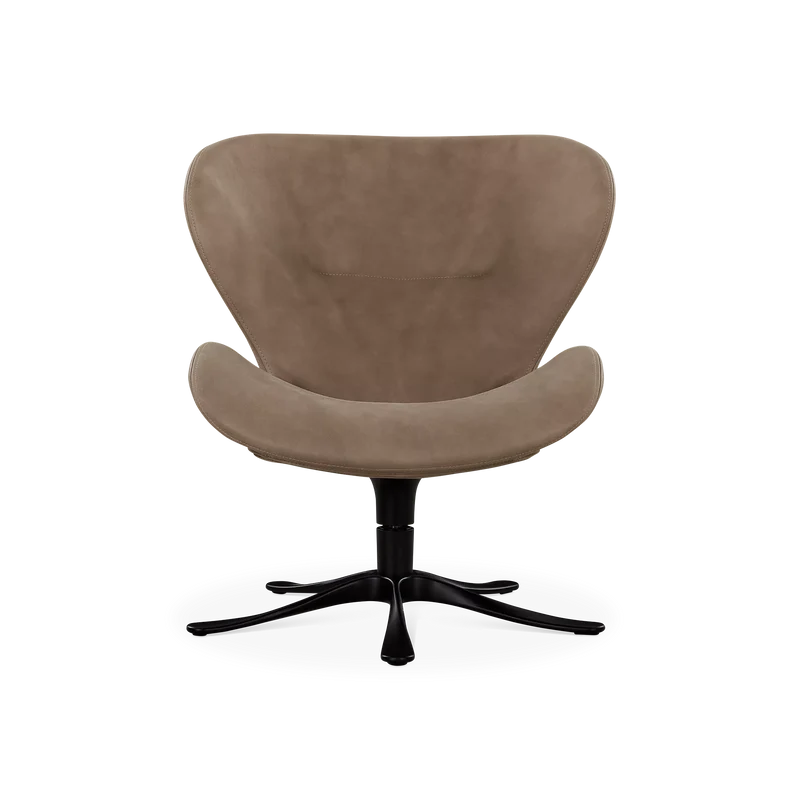 Daisy - Armchair by Conform