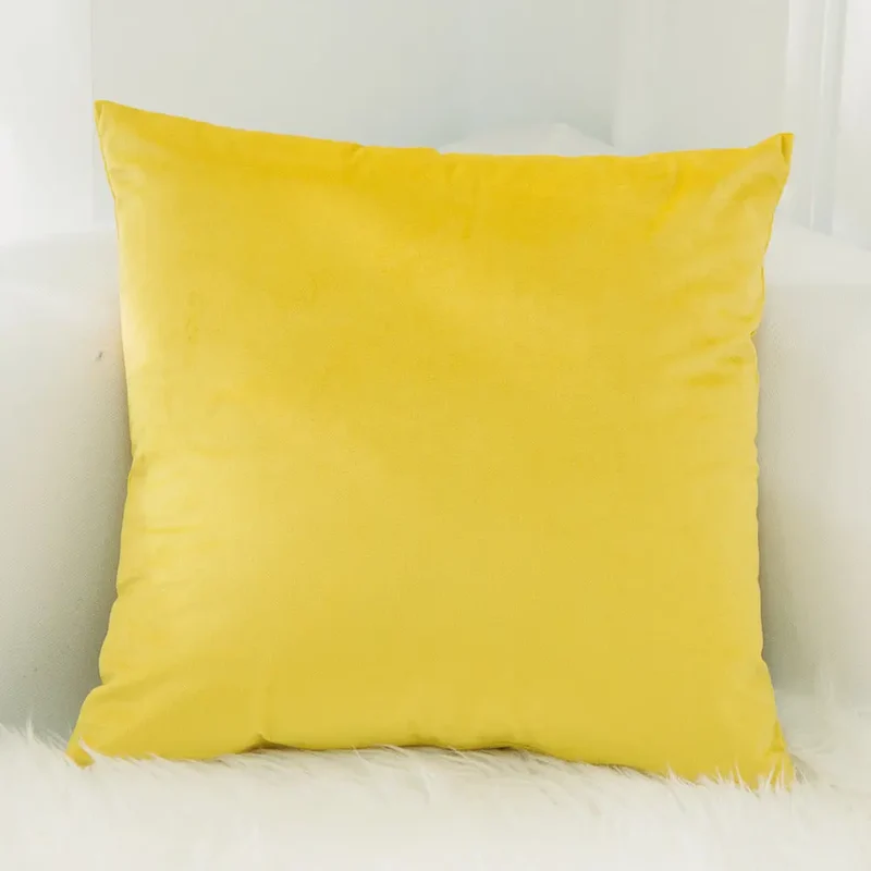 Housse de Coussin Velours EMALY