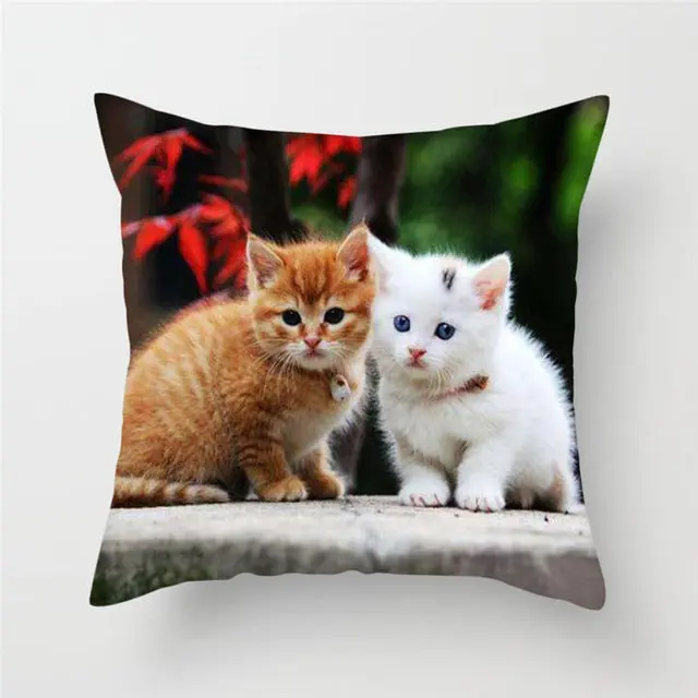 Housse de Coussin Moderne PEACHY