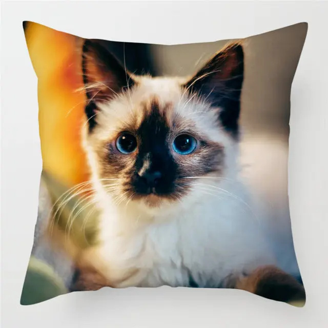 Housse de Coussin Moderne PEACHY