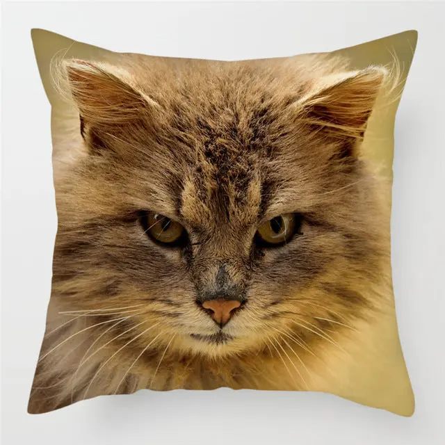 Housse de Coussin Moderne PEACHY
