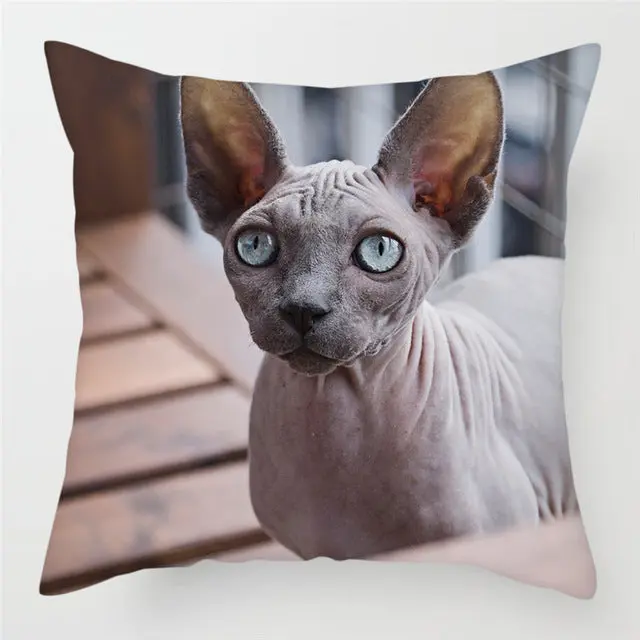 Housse de Coussin Moderne PEACHY
