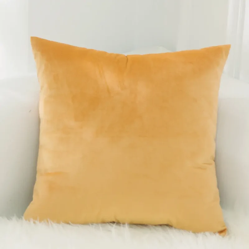 Housse de Coussin Velours FELIO