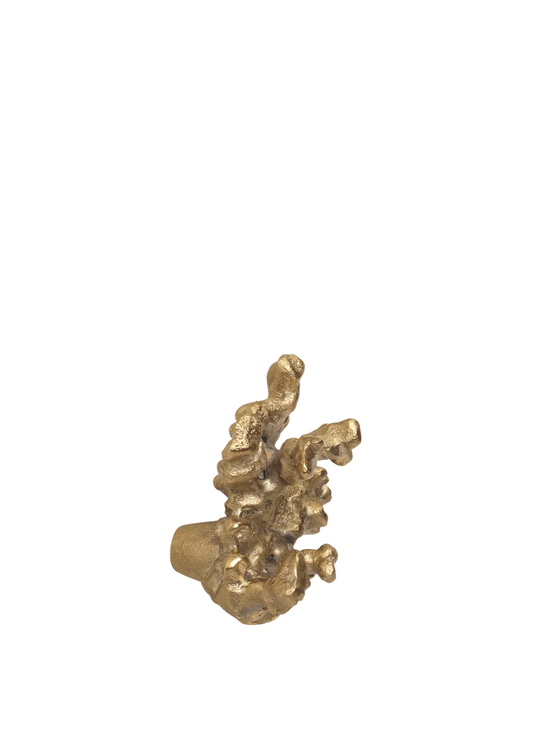 Comber Coral Branch Hook - Brass