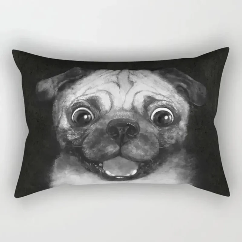 Housse coussin canapé Orion