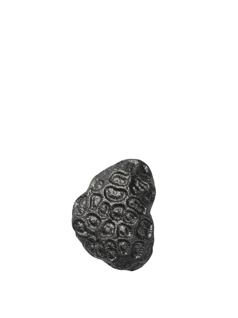 Comber Coral Hook - Blackened Aluminium
