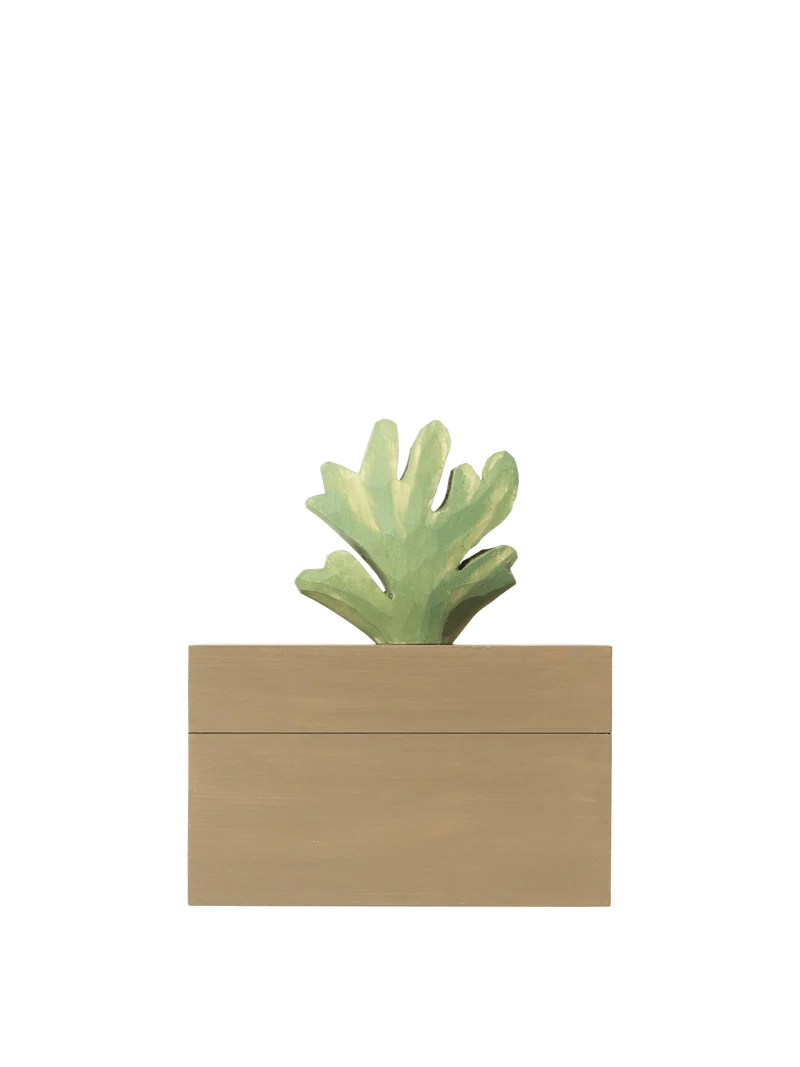 Harbour Box - Coral - Mistletoe/Tan