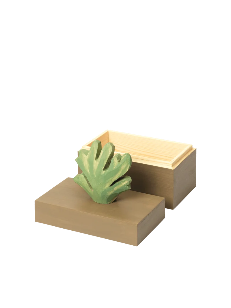 Harbour Box - Coral - Mistletoe/Tan