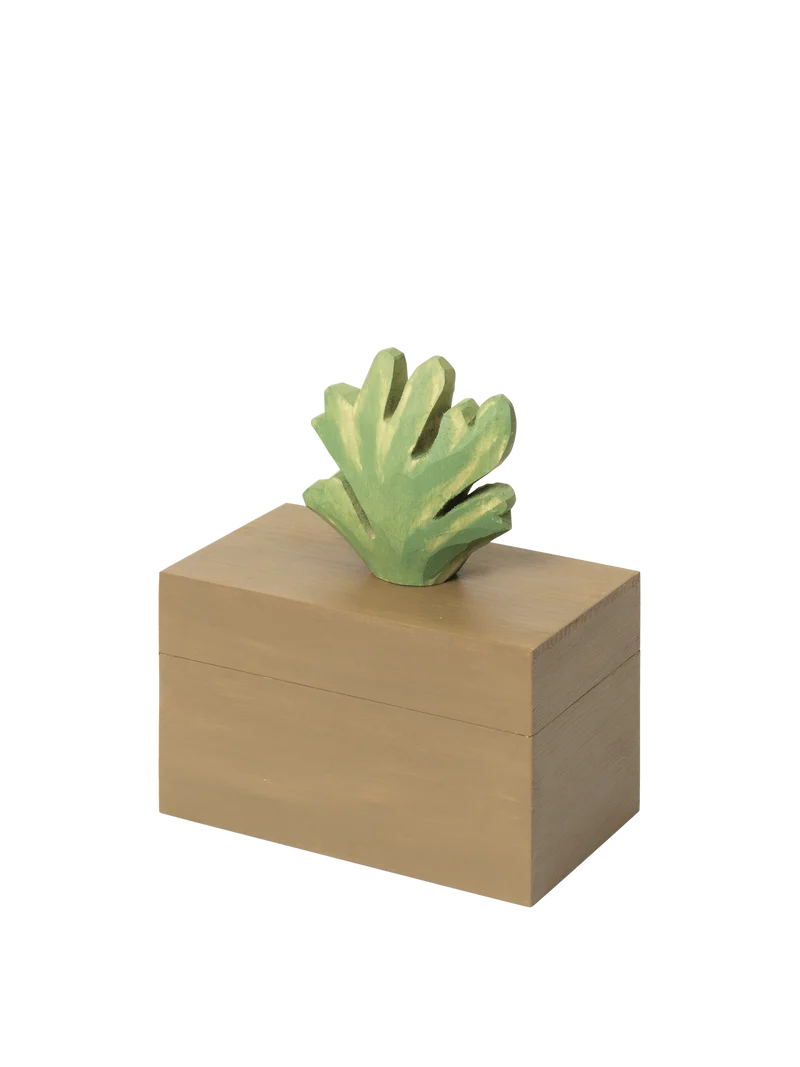 Harbour Box - Coral - Mistletoe/Tan
