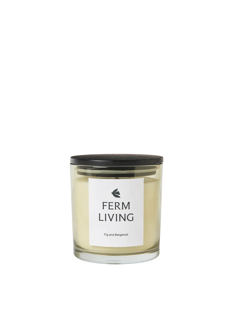 Vitto Scented Candle - Small - Light Celedon