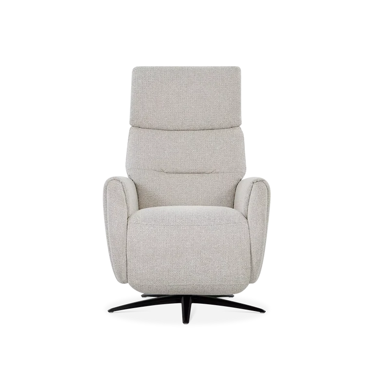 Skinner - Power Recliner with Swivel Base