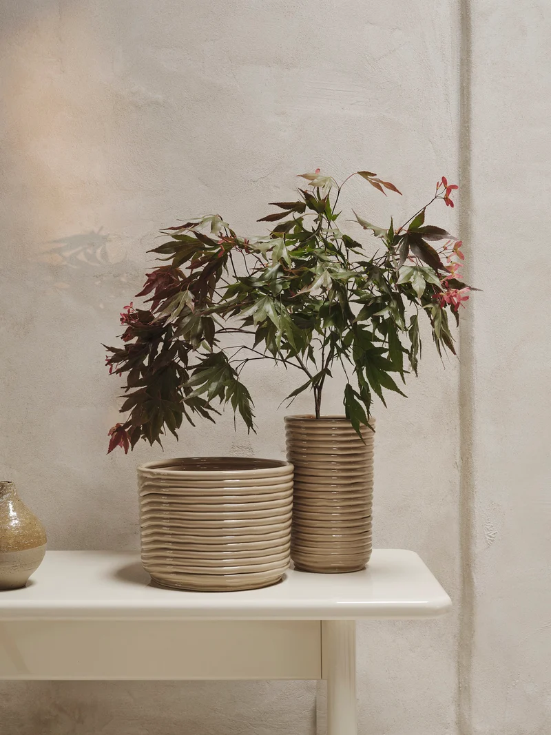 Corduroy Pot - Cashmere
