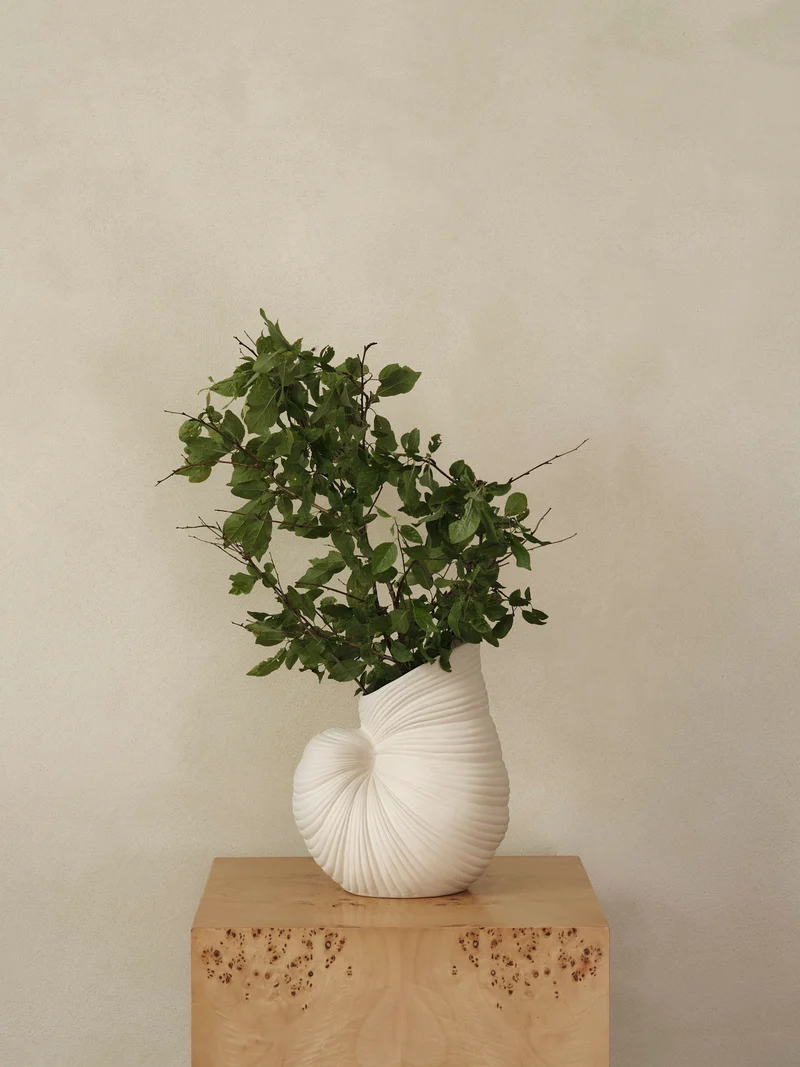 Shell Vase - Off-White
