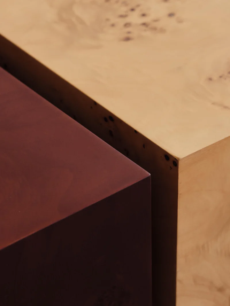 Burl Storage Coffee Table - Natural